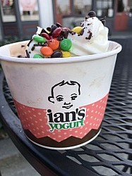 Ian's Yogurt